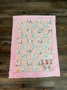Butterflies in Paris Baby Quilt