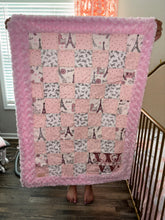 Load image into Gallery viewer, Butterflies in Paris Baby Quilt